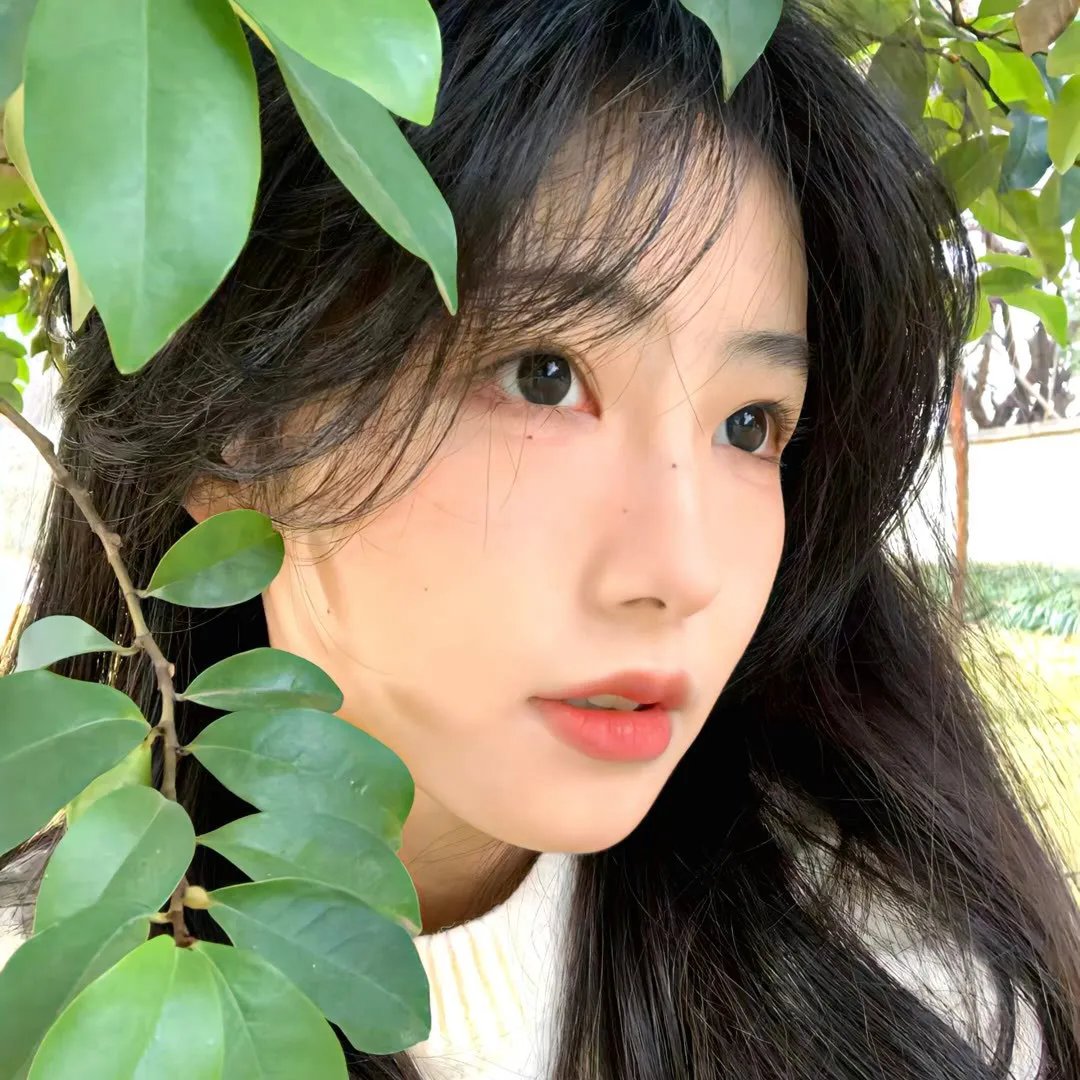 破碎的温柔